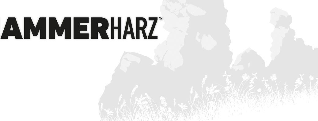 online shop hammerharz