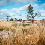 biker auf dem flowtrail im harz