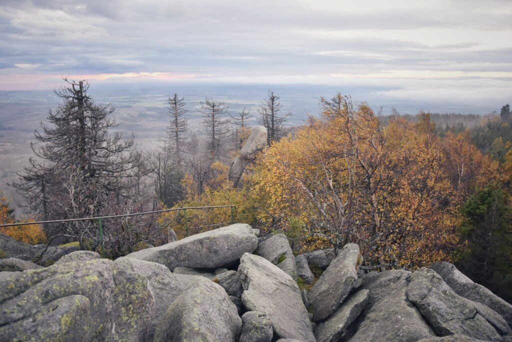 Harz Herbst Herz