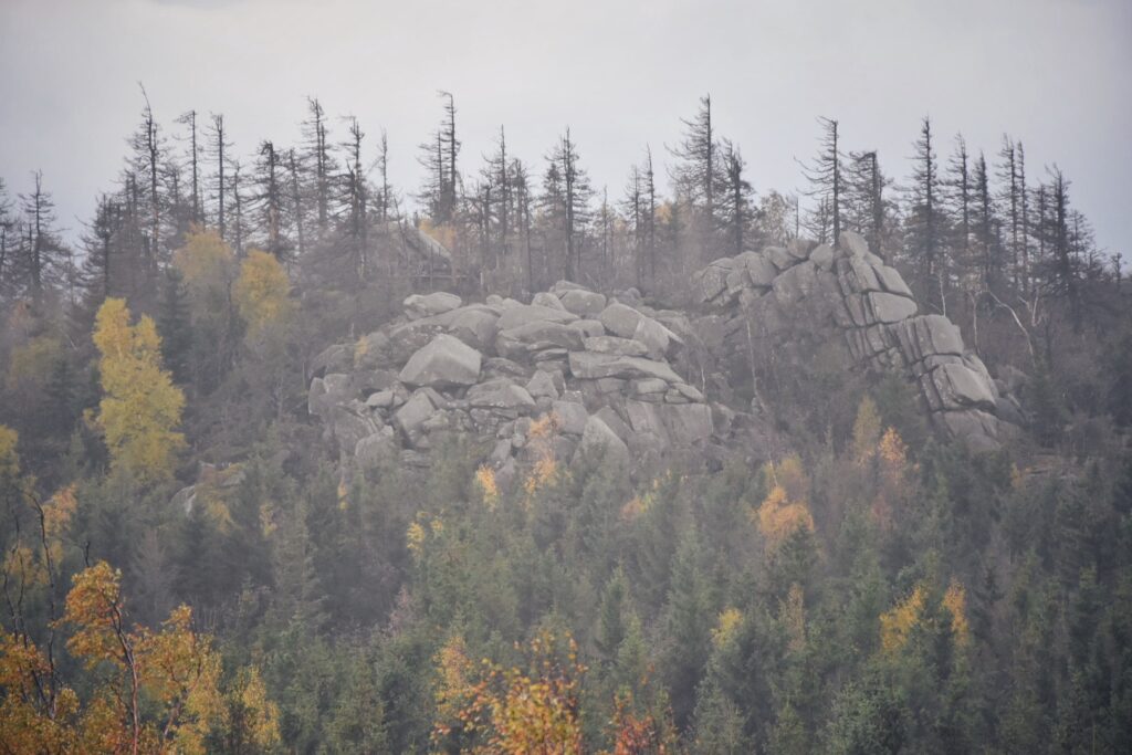 Harz Herbst Herz