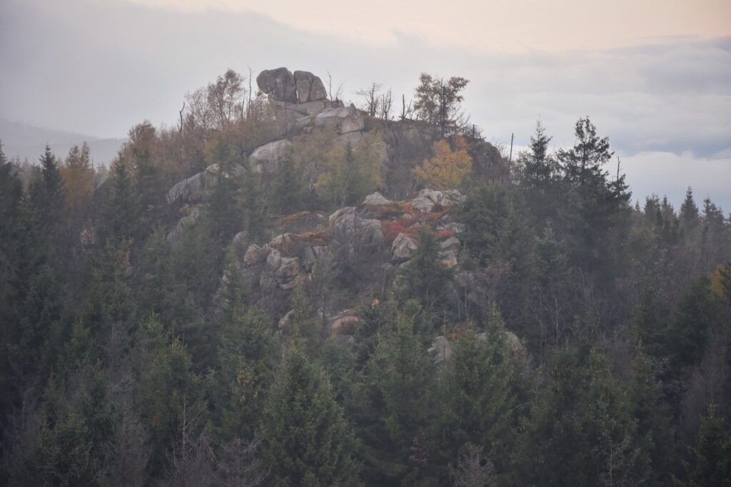 Harz Herbst Herz