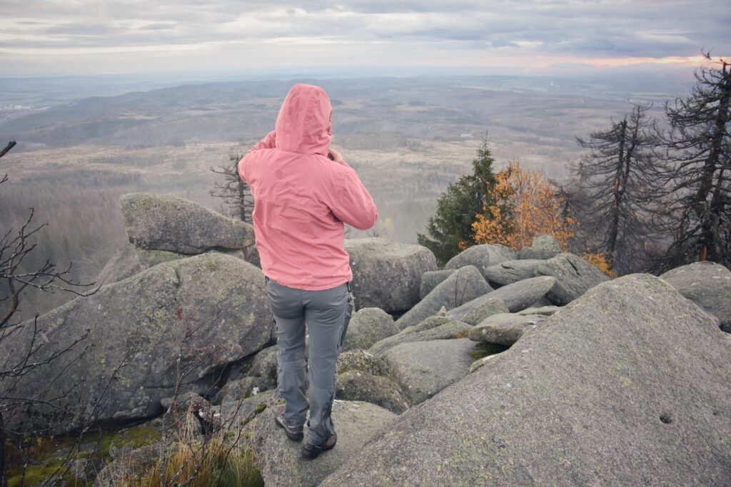 Harz Herbst Herz