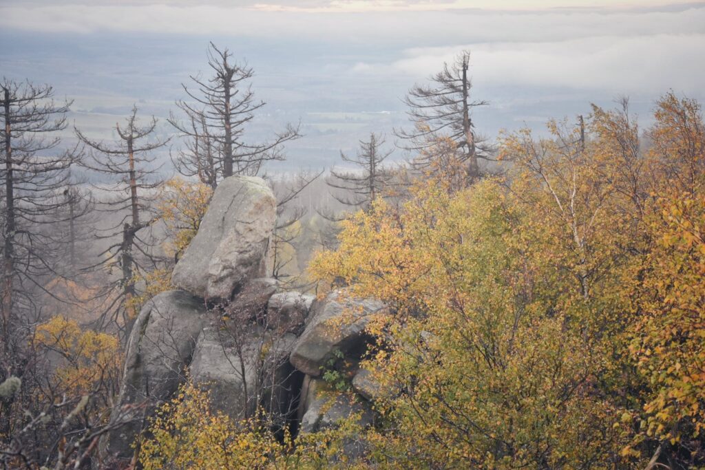 Harz Herbst Herz