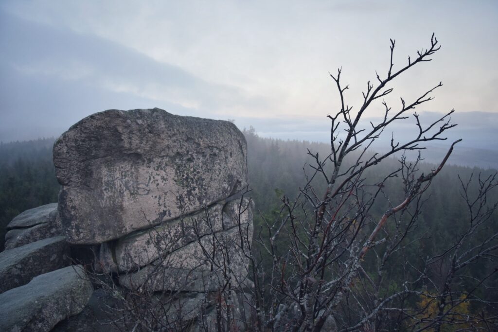 Harz Herbst Herz