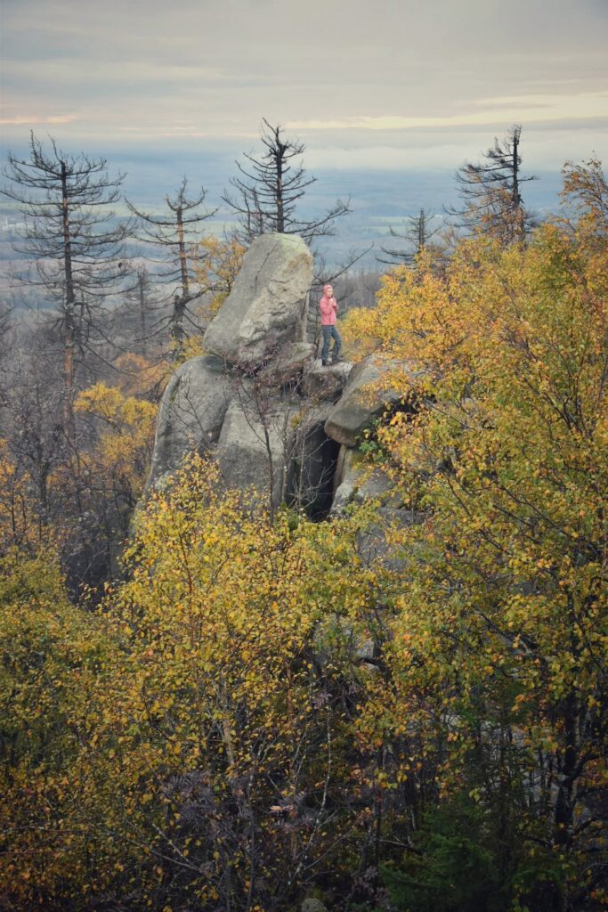 Harz Herbst Herz