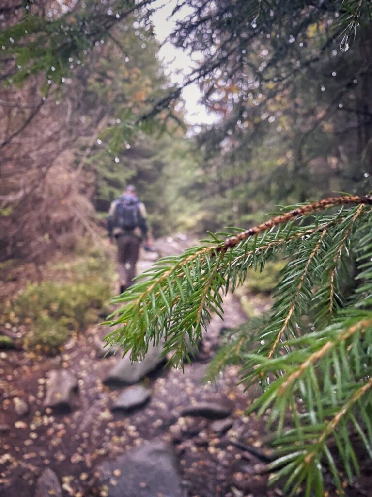 Harz Herbst Herz