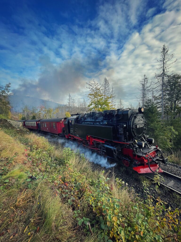 Harz Herbst Herz