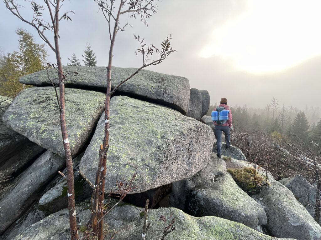 Harz Herbst Herz