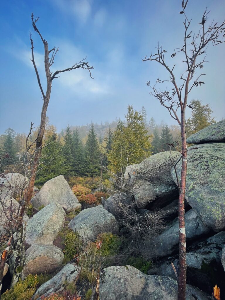Harz Herbst Herz