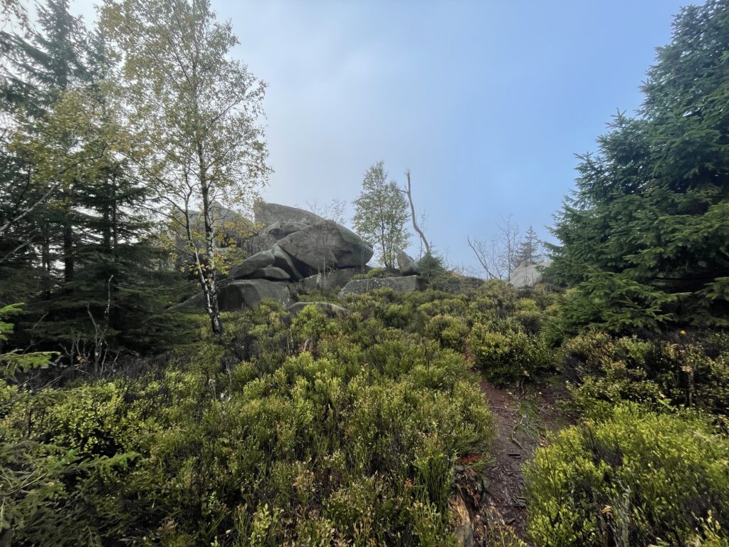 Harz Herbst Herz