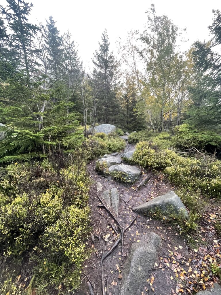 Harz Herbst Herz