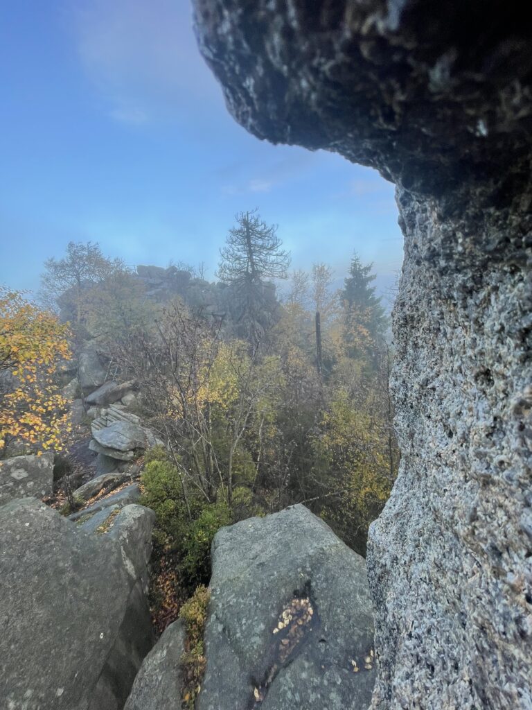Harz Herbst Herz