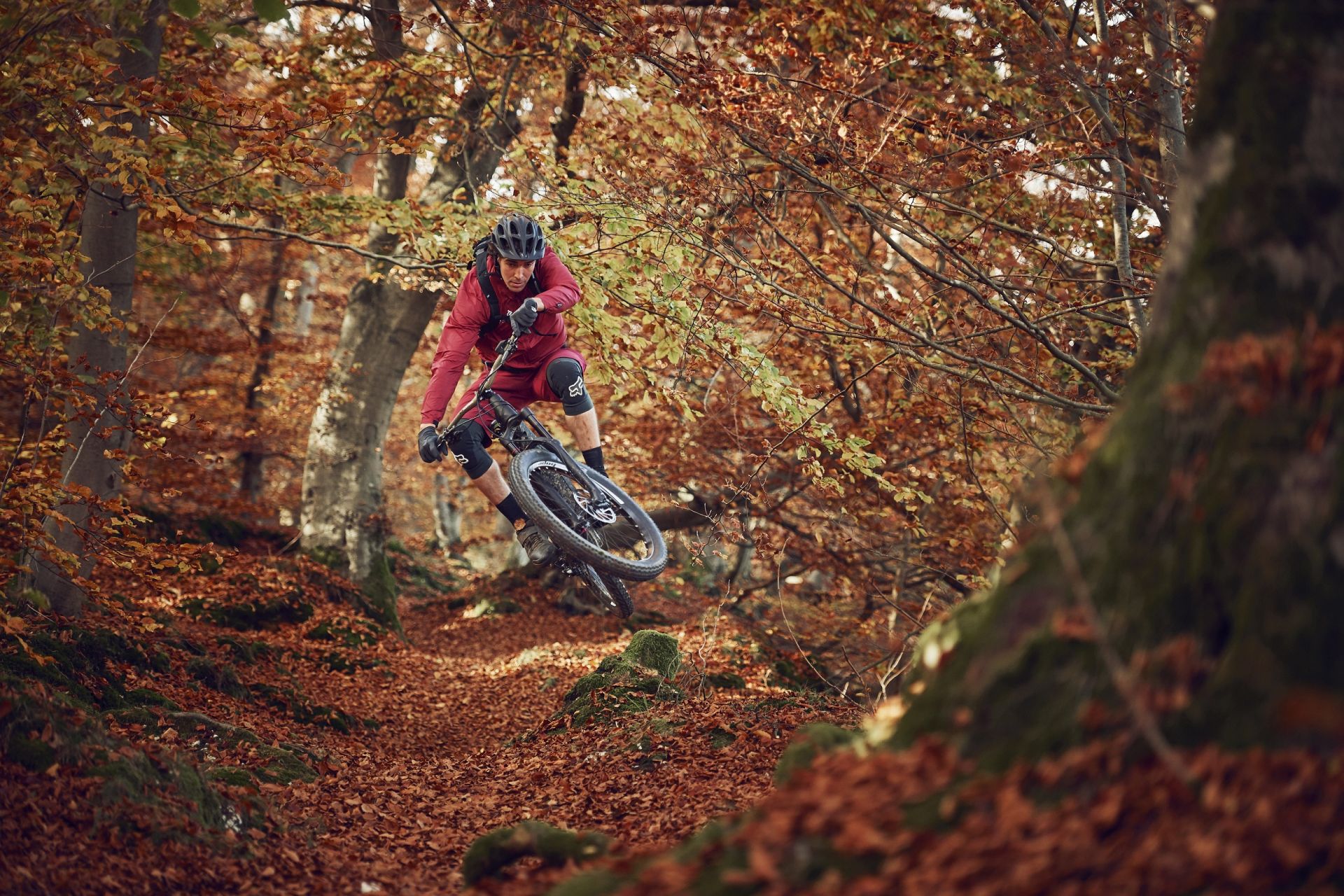 ein mountainbiker fährt durch herbstlaub